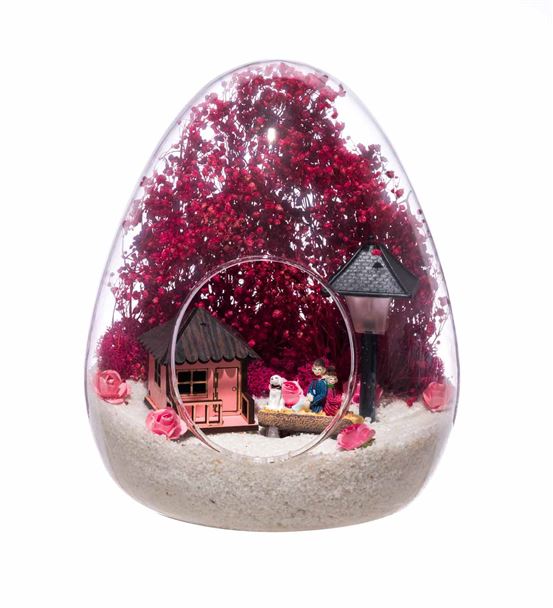 Terarum Rüya Gibi Evimiz Pembe-Işıklı
